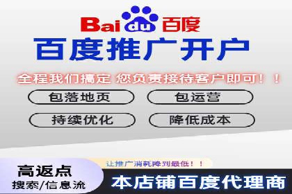 百度竞价SEM策略解析：某品牌广告成功的关键因素